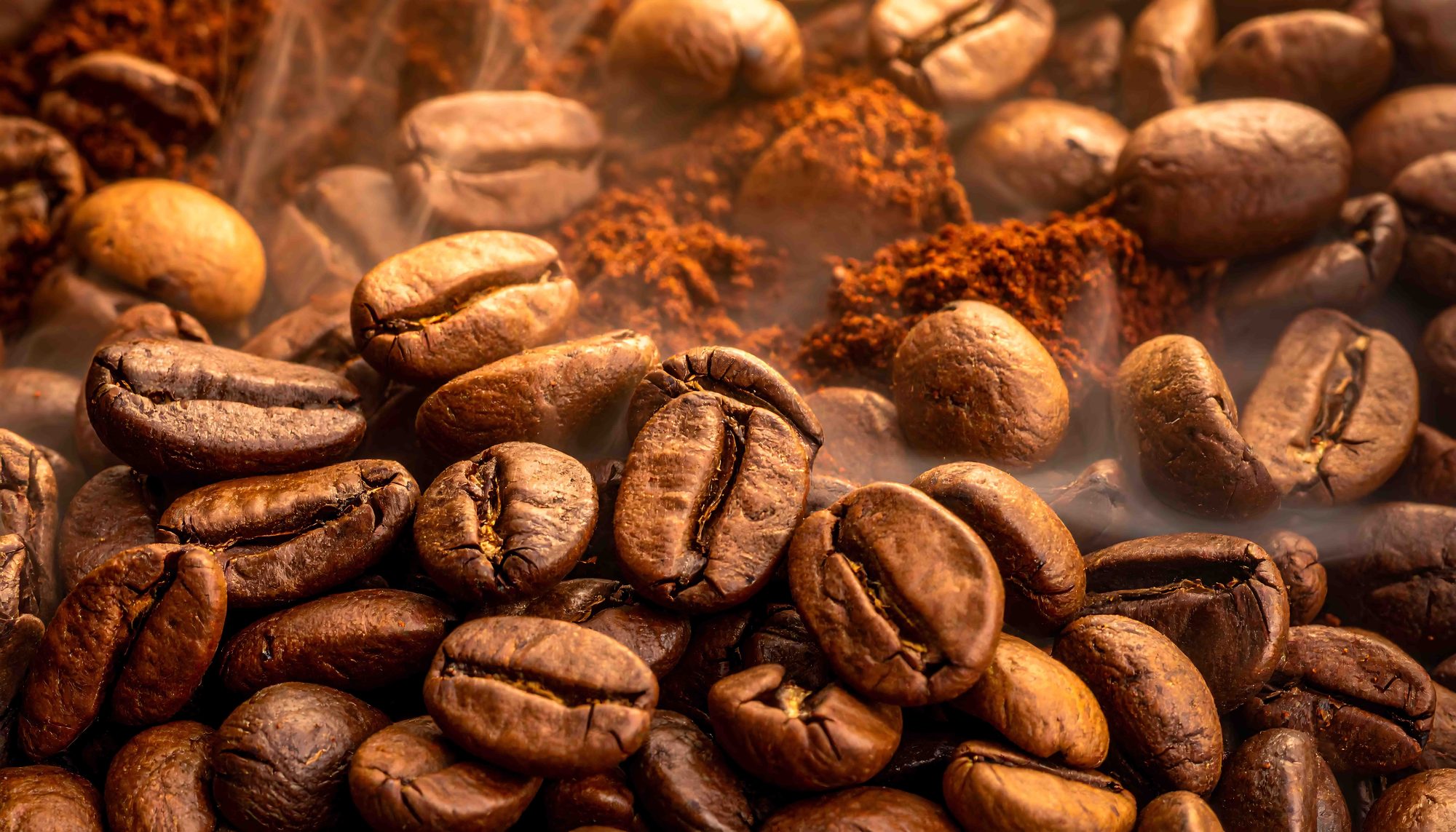 New York City Office Coffee | Flavor Profiles | Modern Brewers